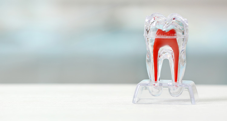 Zahnarzt in Düsseldorf: Zahn-OP beim Fachzahnarzt